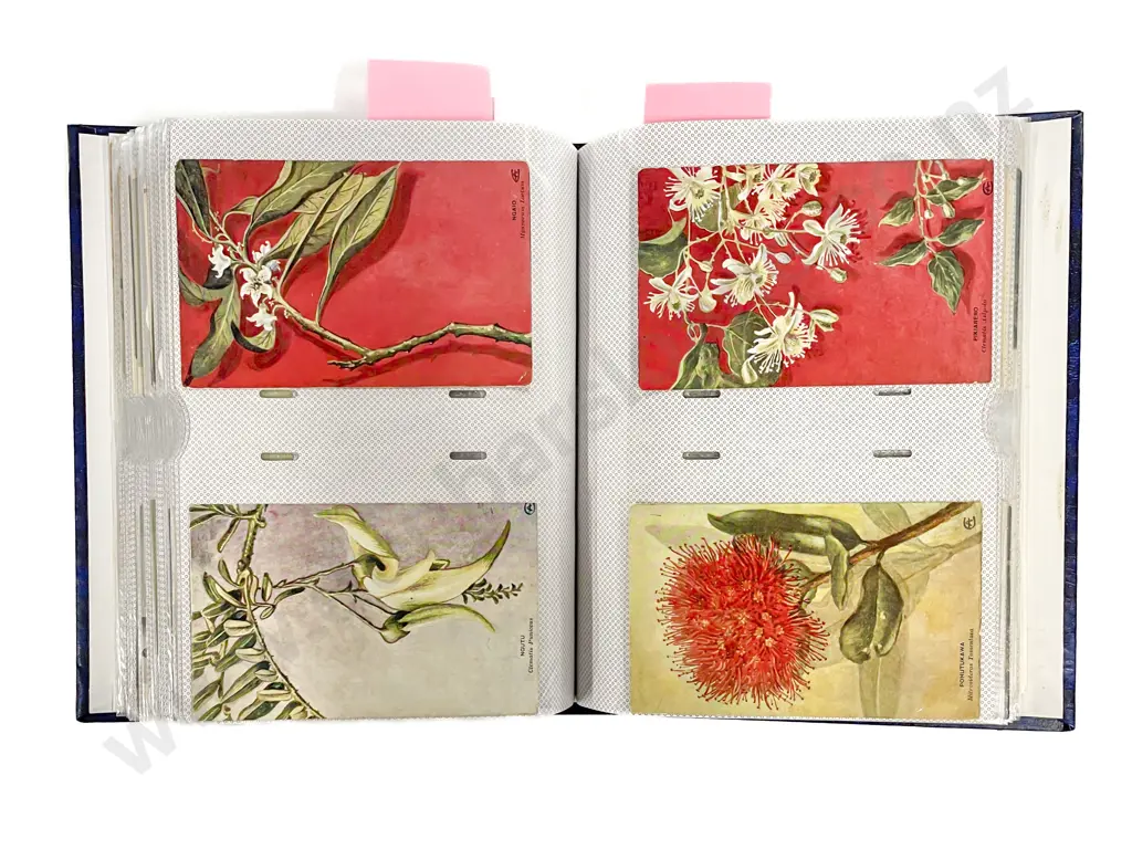 Collection of Assorted Early NZ C20th Botanical Postcards Image 1++
