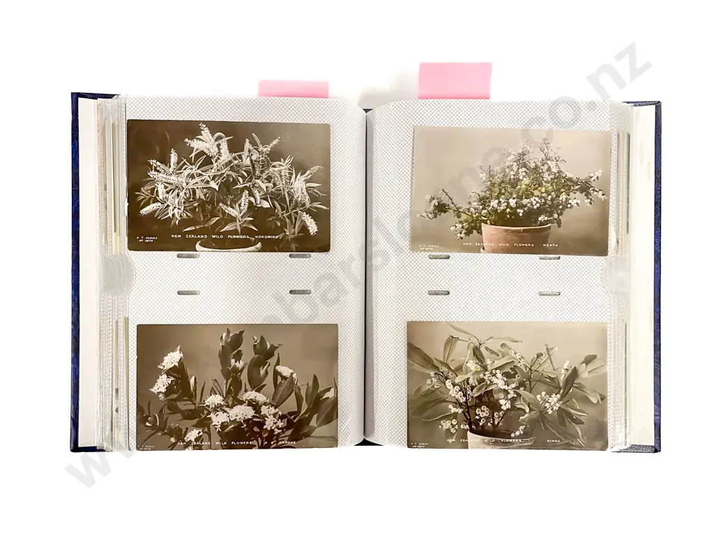 Collection of Assorted Early NZ C20th Botanical Postcards Image 1++