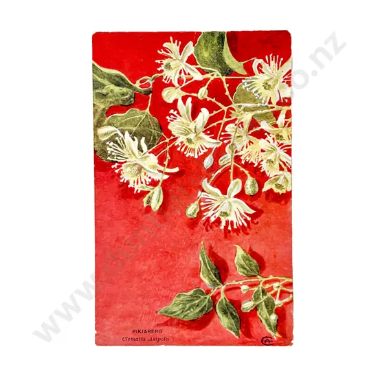 Collection of Assorted Early NZ C20th Botanical Postcards