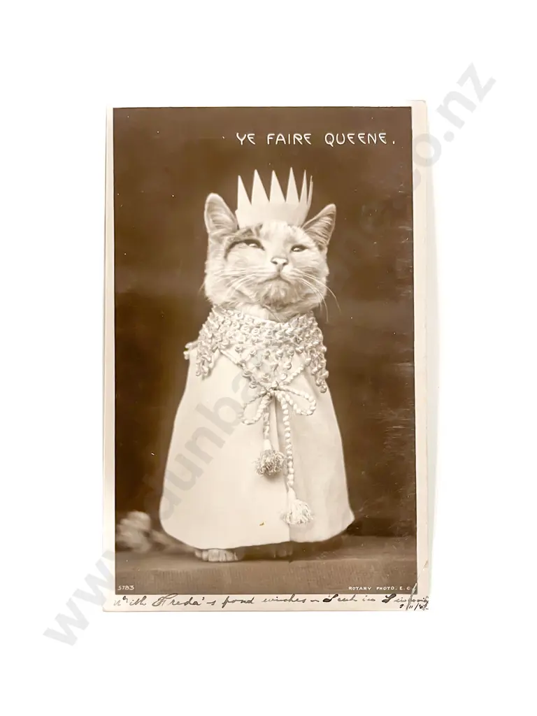 Collection of Assorted NZ C20th Graphic and Studio Postcards etc Image 1++