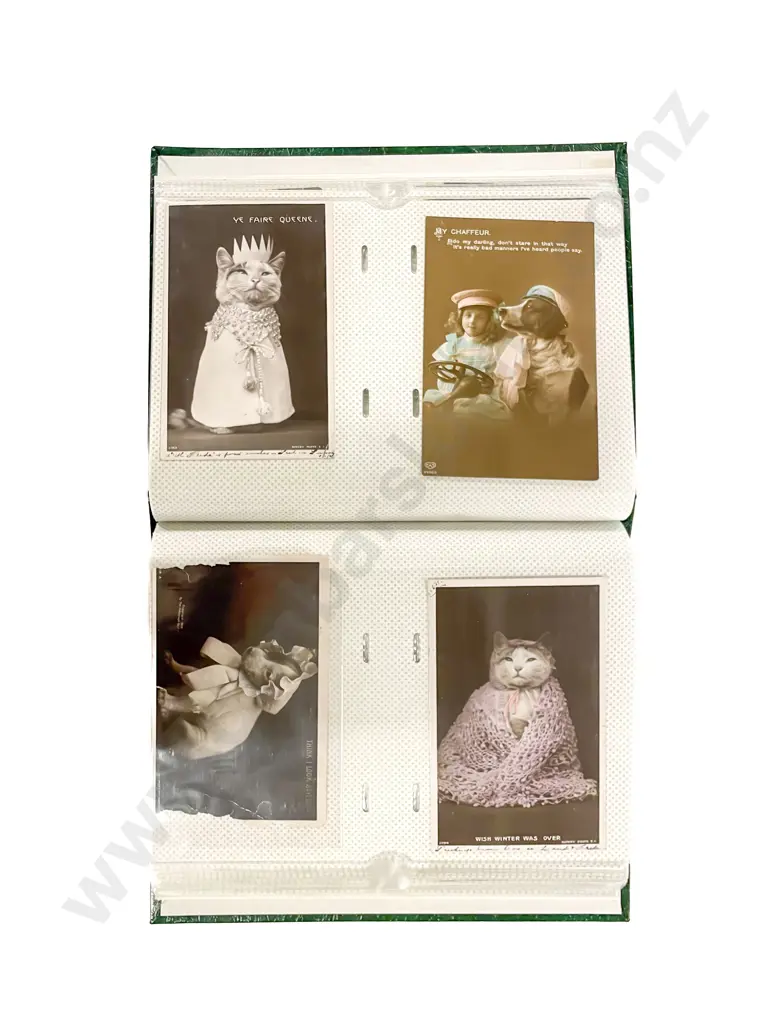 Collection of Assorted NZ C20th Graphic and Studio Postcards etc Image 1++