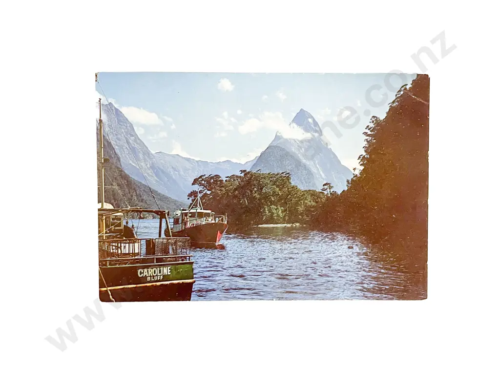 Album Mid C20th NZ Souvenir Postcards Image 1++