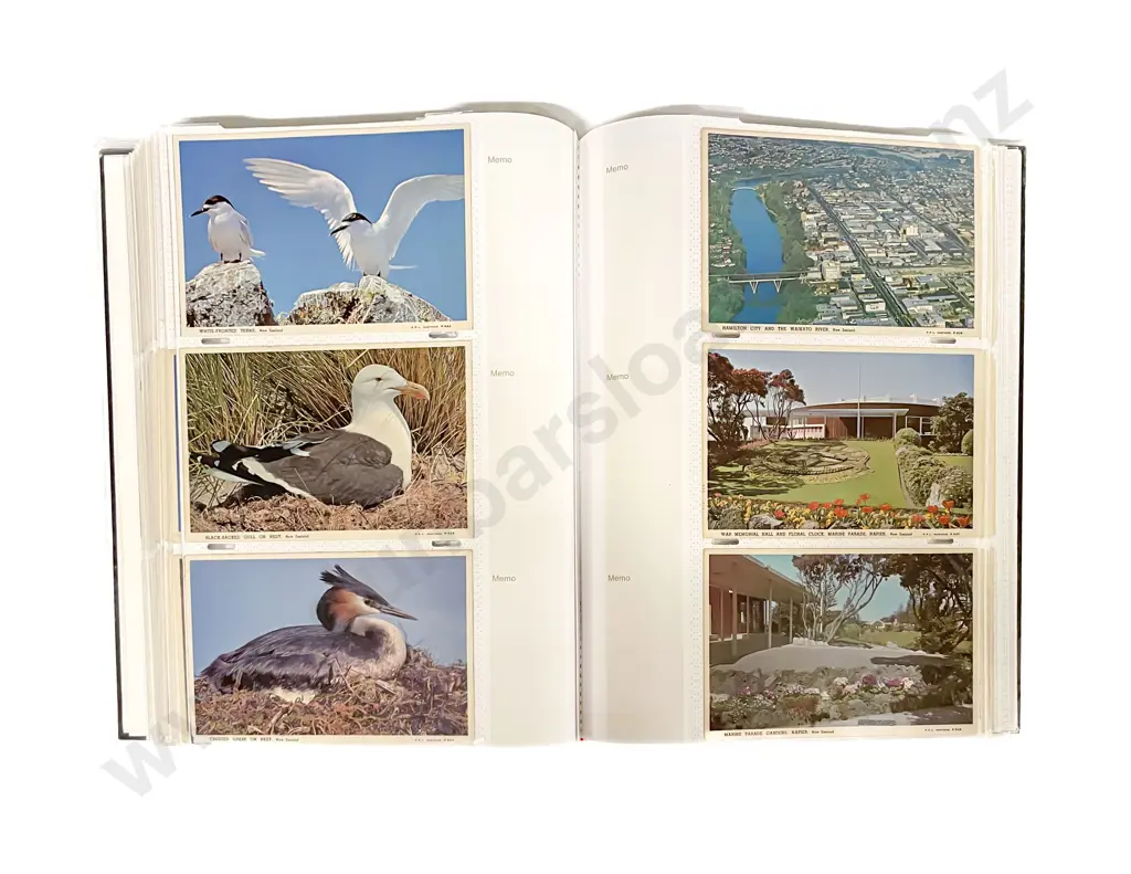Album Mid C20th NZ Modern Souvenir Postcards Image 1++