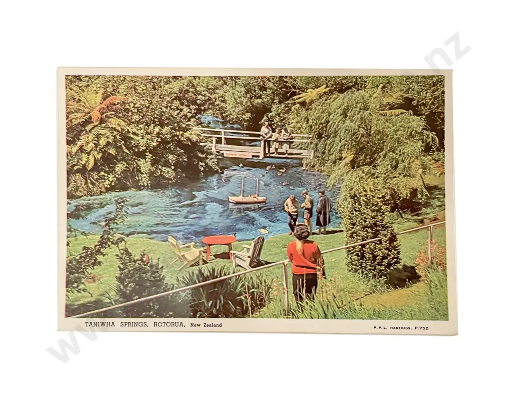 Album Mid C20th NZ Modern Souvenir Postcards Image 1++