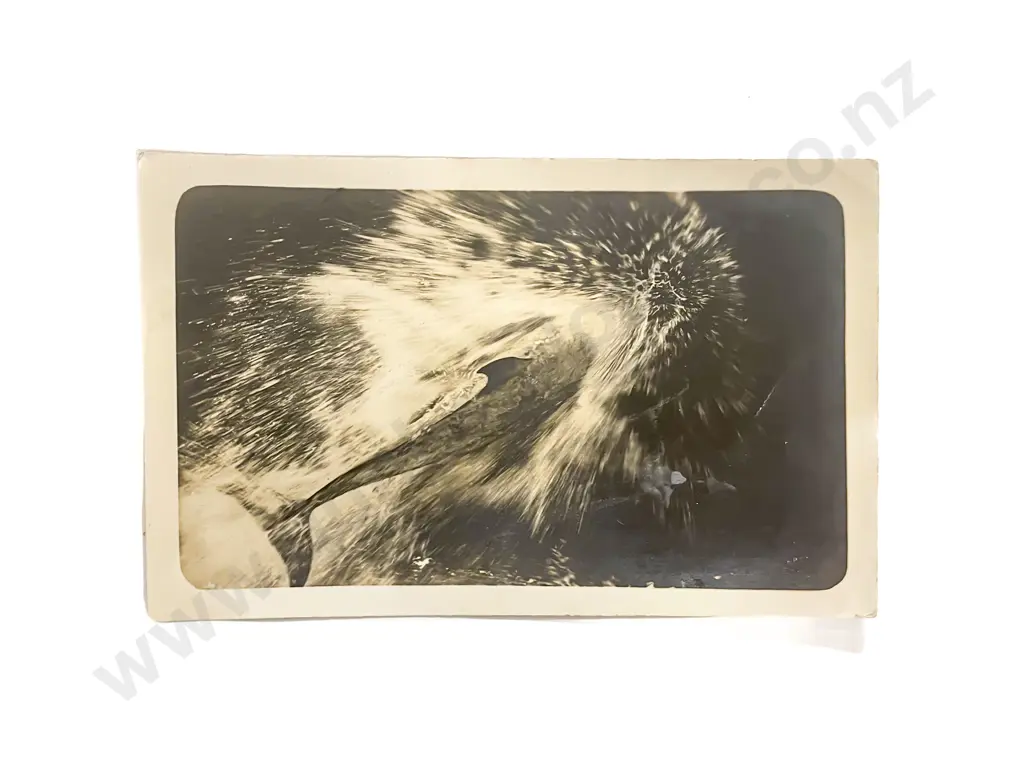 Collection of NZ Early C20th Postcards Wellington Christchurch Souvenir Cards Image 1++