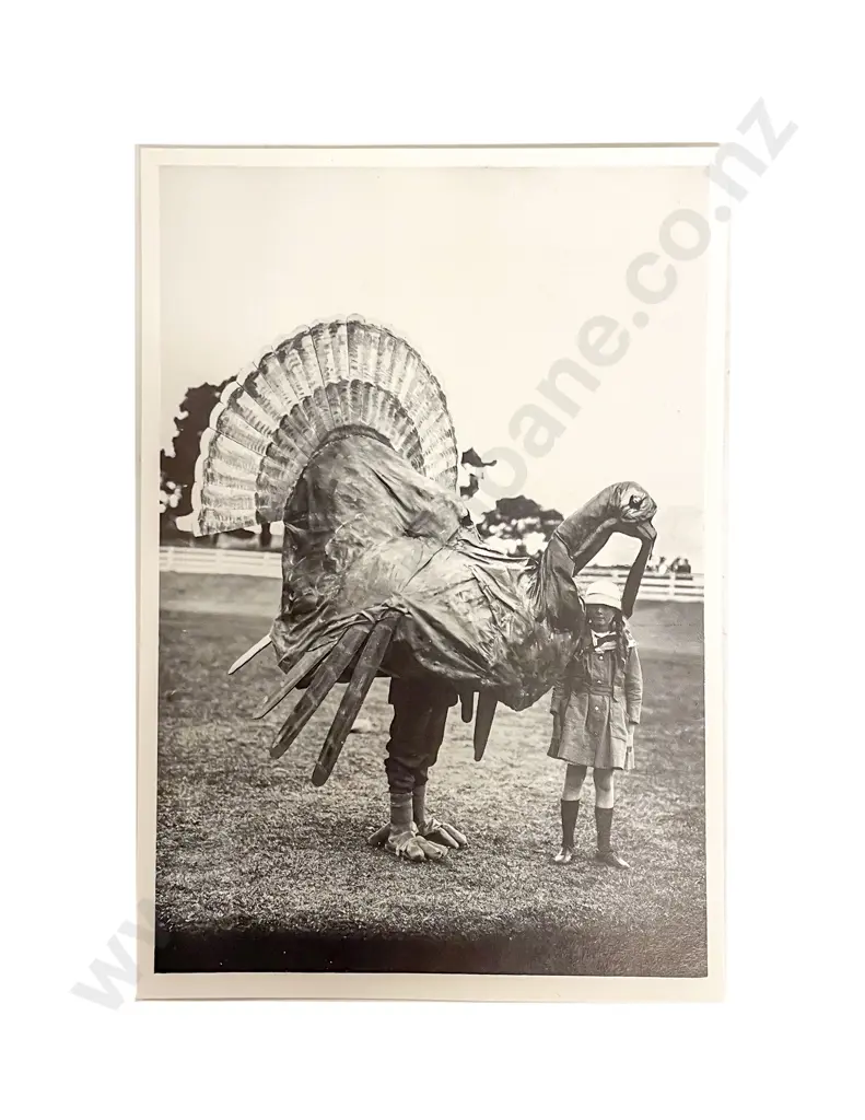 Collection of Mixed NZ and World Postcards Image 1++