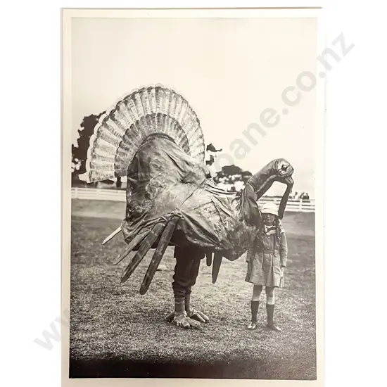 Collection of Mixed NZ and World Postcards