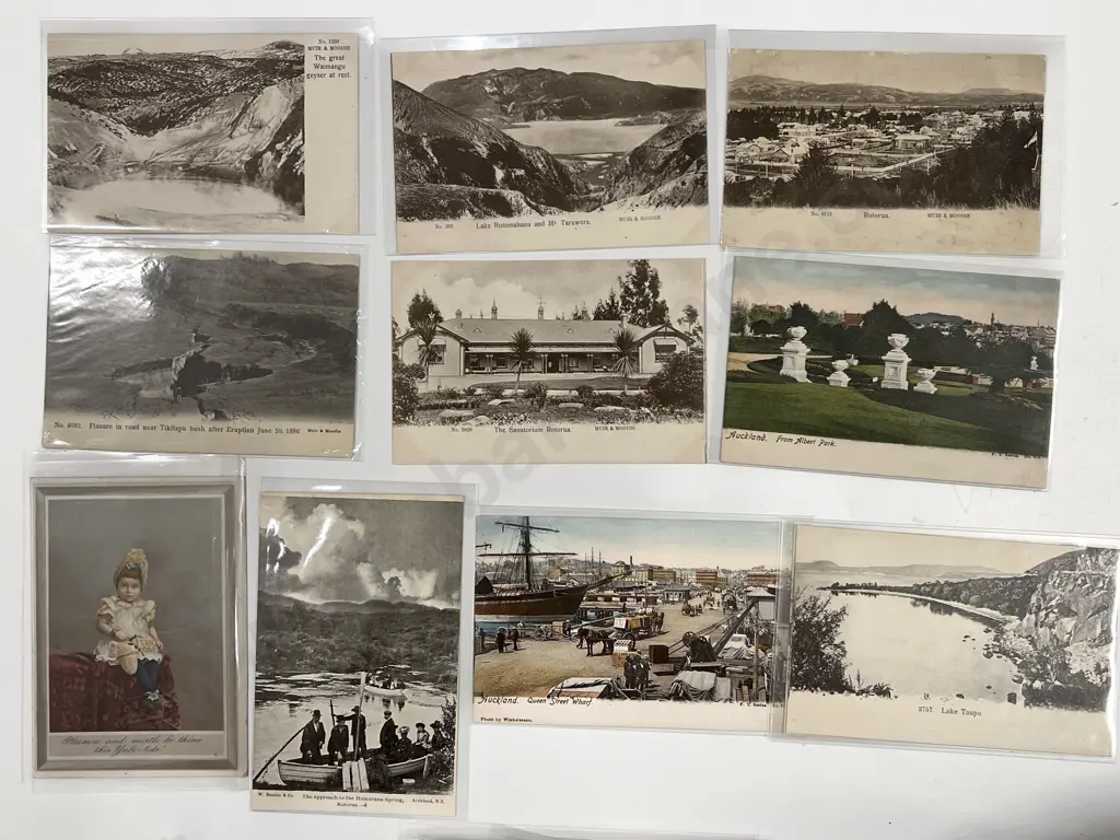 Large Quantity Vintage NZ Postcards Some English Image 1++