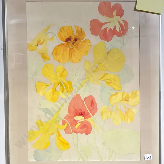 Lynette Rawlinson  - Nasturtiums (a/f)