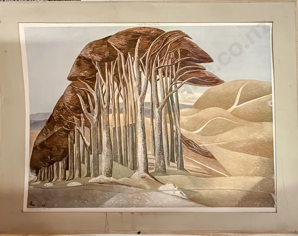 Wildflowers of New Zealand Reproduction Print & Other (unframed) Image 1++
