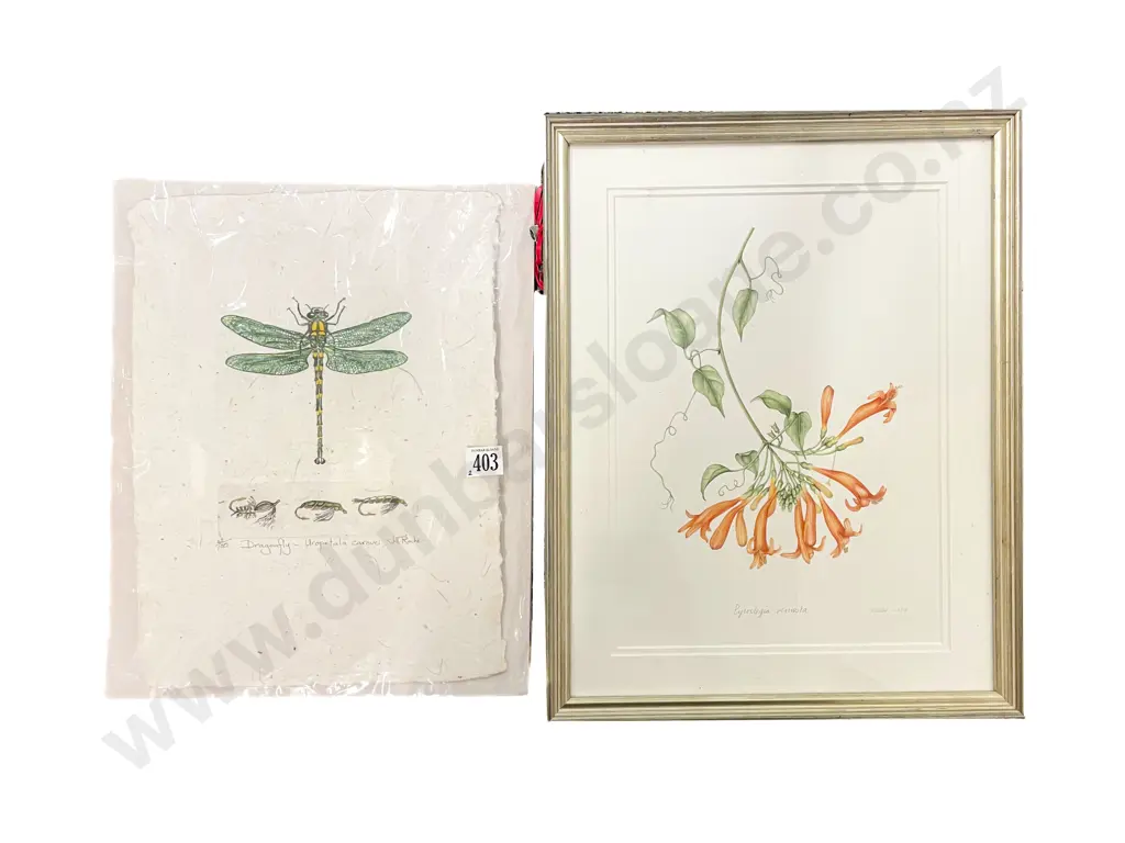 Jill Roche - Dragonfly Image 1++