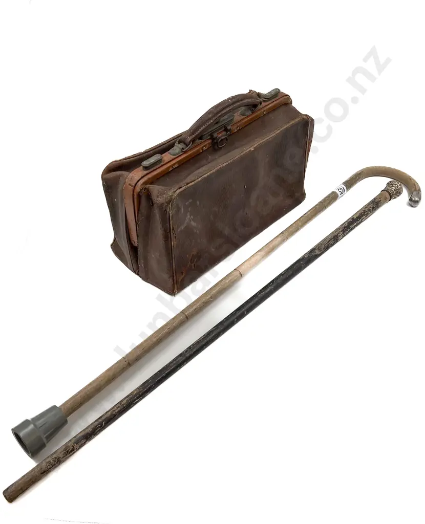 Gladstone Bag with Two Walking Sticks Image 1++