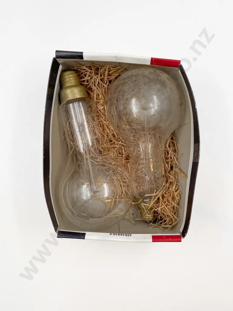 Two Vintage Large Lightbulbs Image 1++