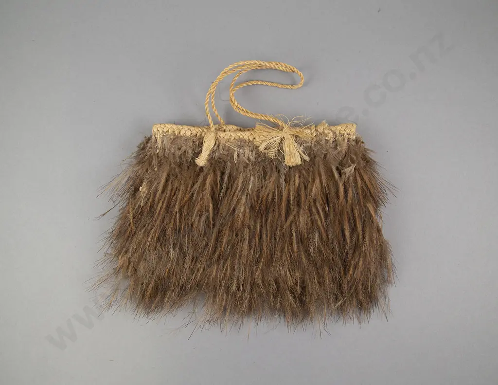 A 19th Century Kiwi Feather Kete Image 1++