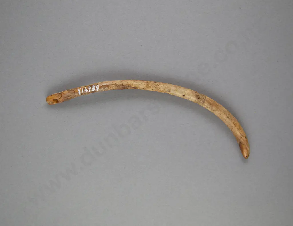 An 18th Century Aurei (Cloak Pin) Image 1++
