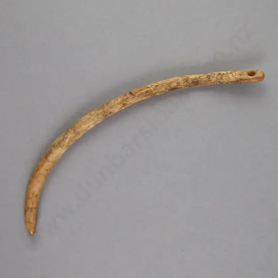 An 18th Century Aurei (Cloak Pin)