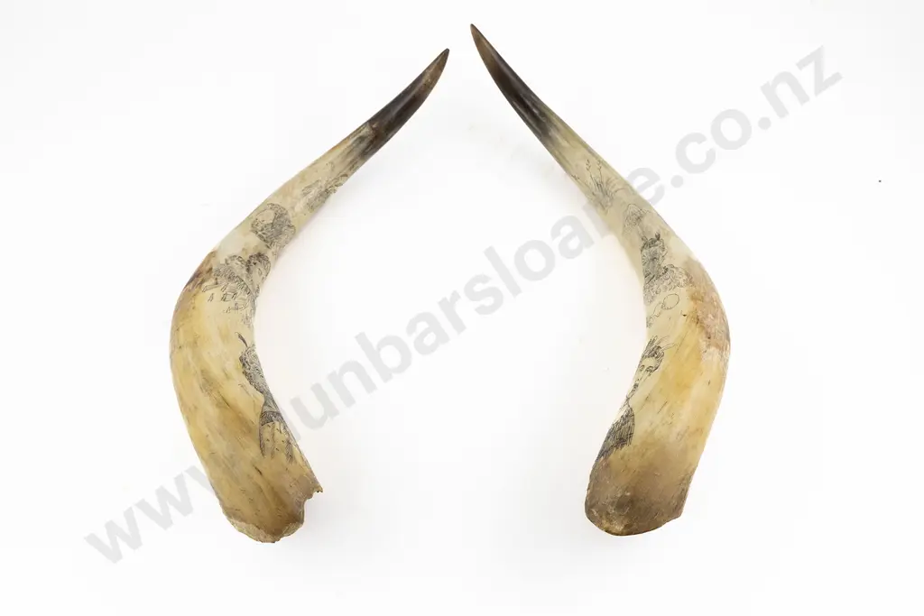 A Good Pair Of 19th Century Scrimshaw Horns Image 1++