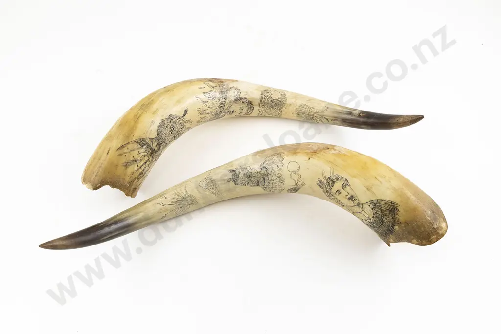 A Good Pair Of 19th Century Scrimshaw Horns Image 1++