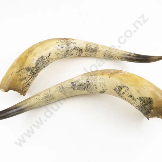 A Good Pair Of 19th Century Scrimshaw Horns