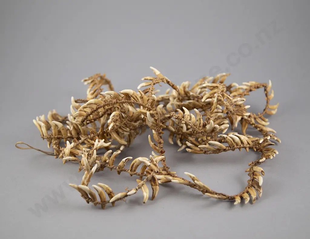 Impressive Papua New Guinea Warriors Dog Tooth Necklace Image 1++