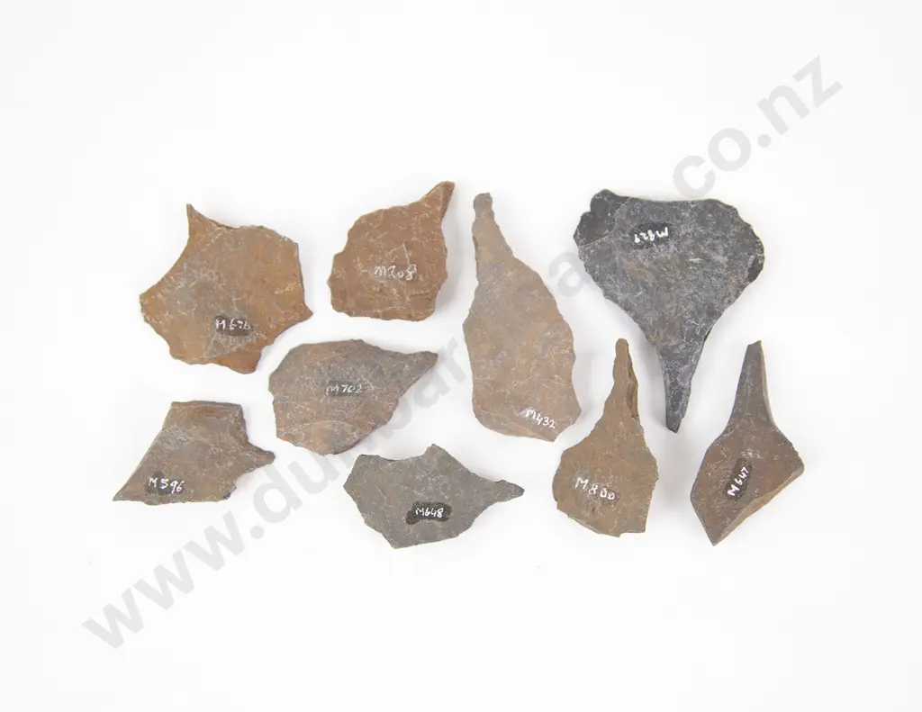 Nine Small Awls From The Pitcairn Islands Image 1++