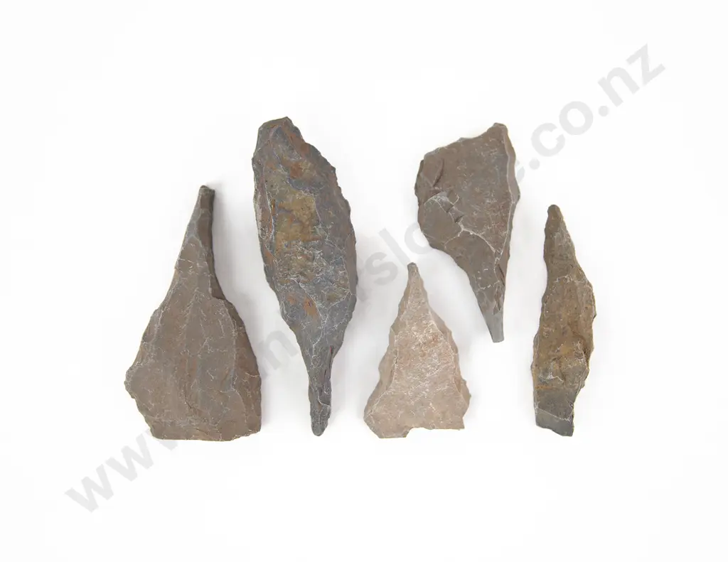 Five Larger Awls From The Pitcairn Islands Image 1++