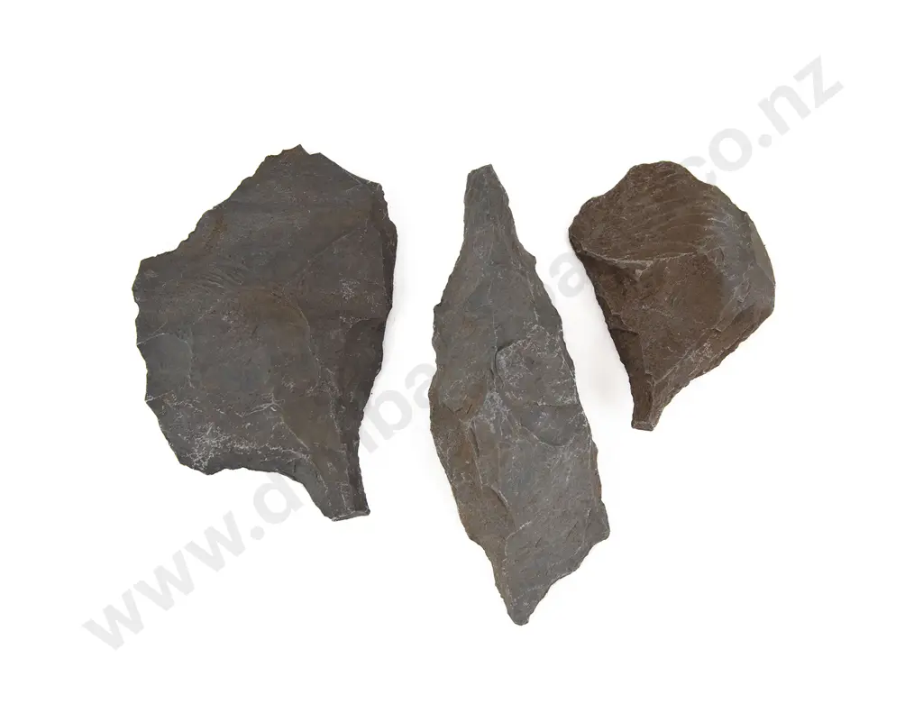 Three Large Awls From The Pitcairn Islands Image 1++