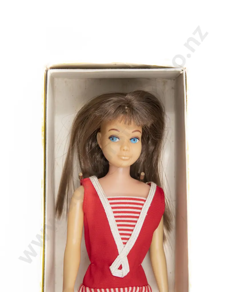 Mattel C1963 Boxed Brunette Skipper Barbies Little Sister Image 1++