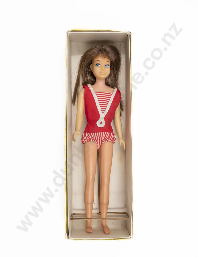 Mattel C1963 Boxed Brunette Skipper Barbies Little Sister Image 1++