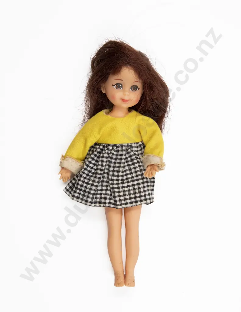 Boxed Brunette Skooter Skippers Friend Image 1++