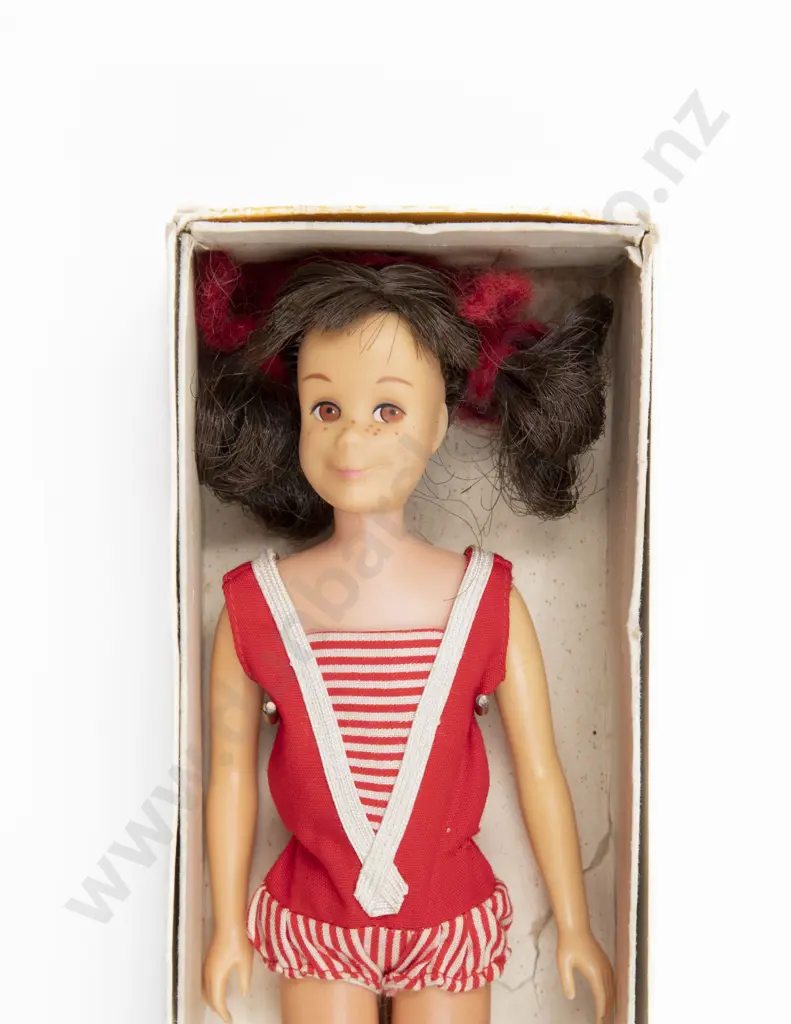 Boxed Brunette Skooter Skippers Friend Image 1++