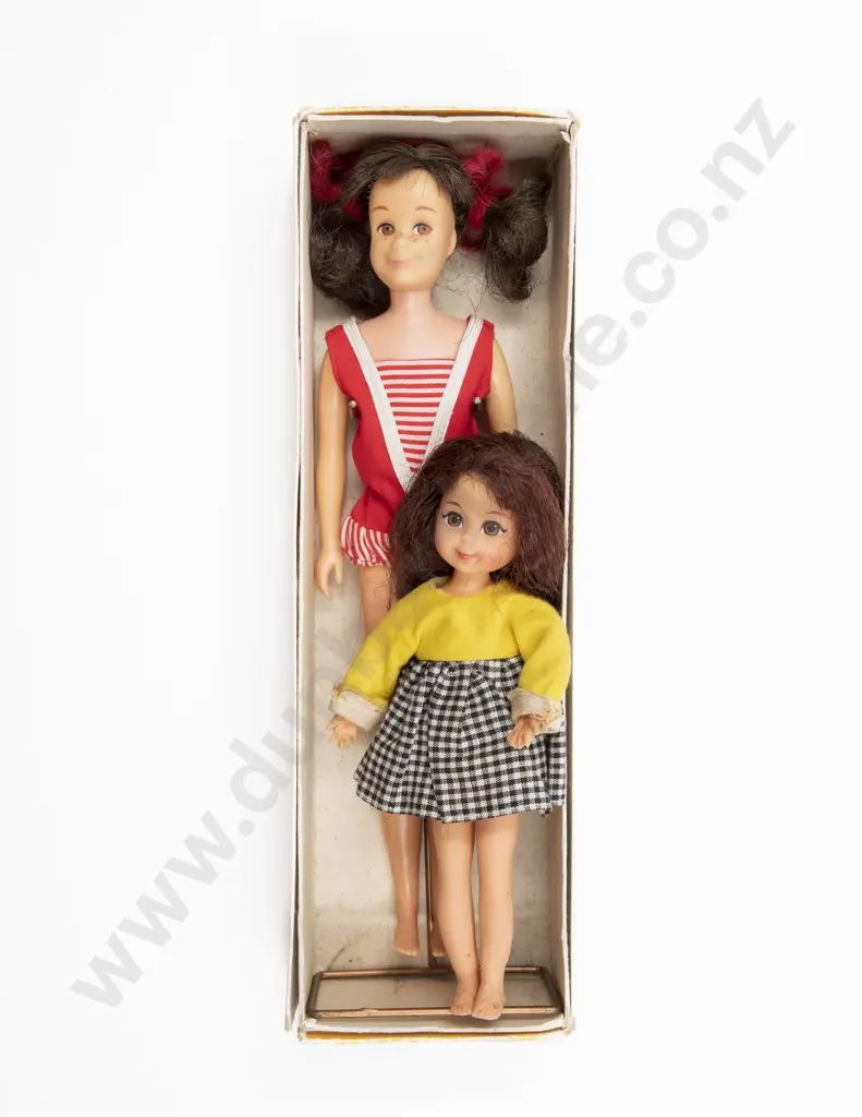 Boxed Brunette Skooter Skippers Friend Image 1++