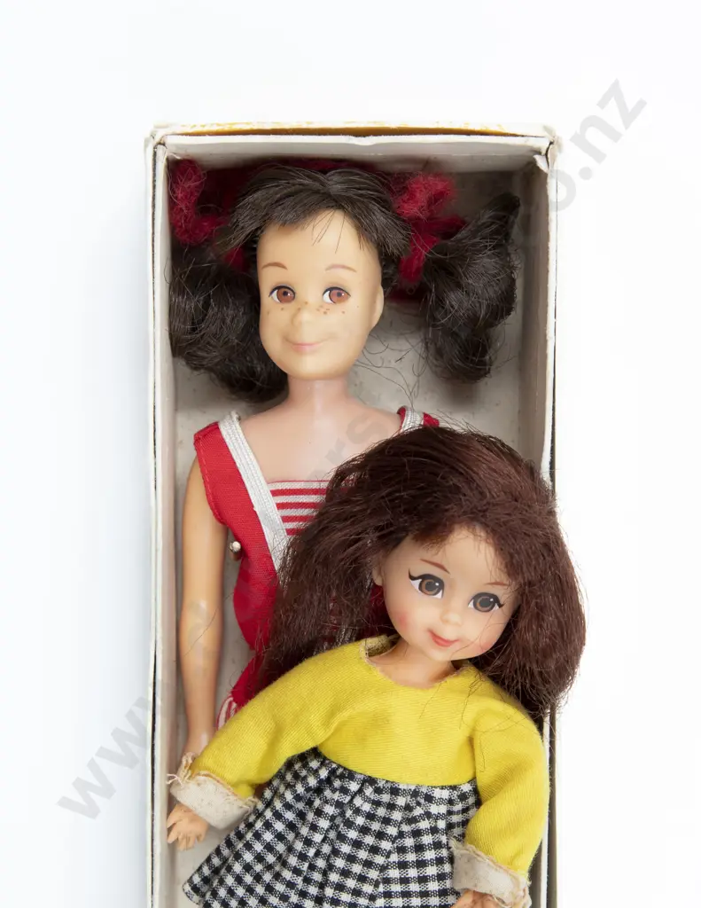 Boxed Brunette Skooter Skippers Friend Image 1++
