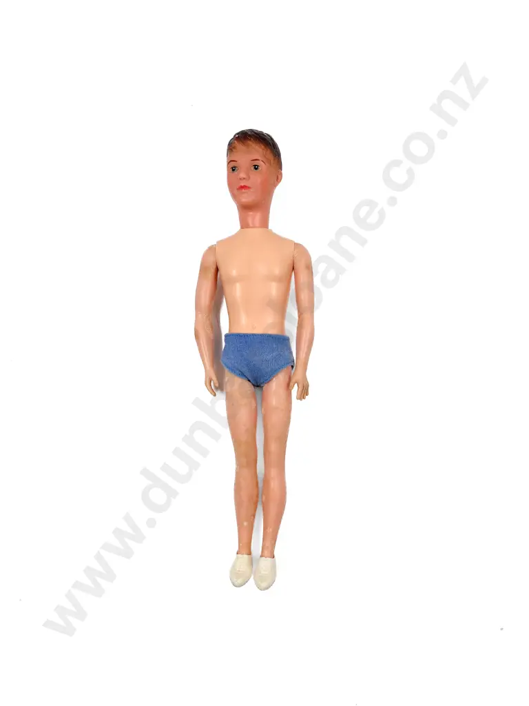 Mid 1960's Pedigree Sindy's Boyfriend Paul Image 1++