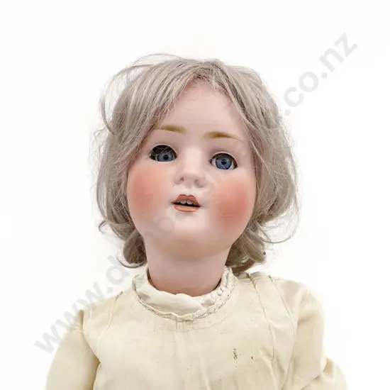 'Robyn' Schoenau & Hoffmeister Bisque Doll