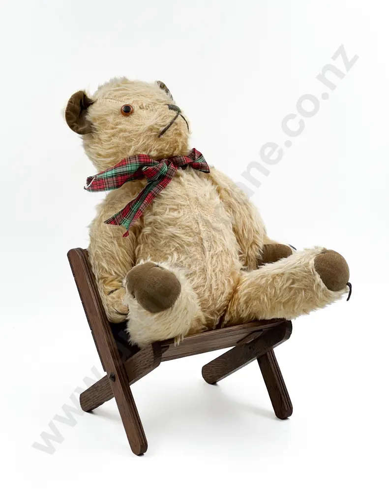 Mid C20th NZ Pedigree Teddy Bear Image 1++