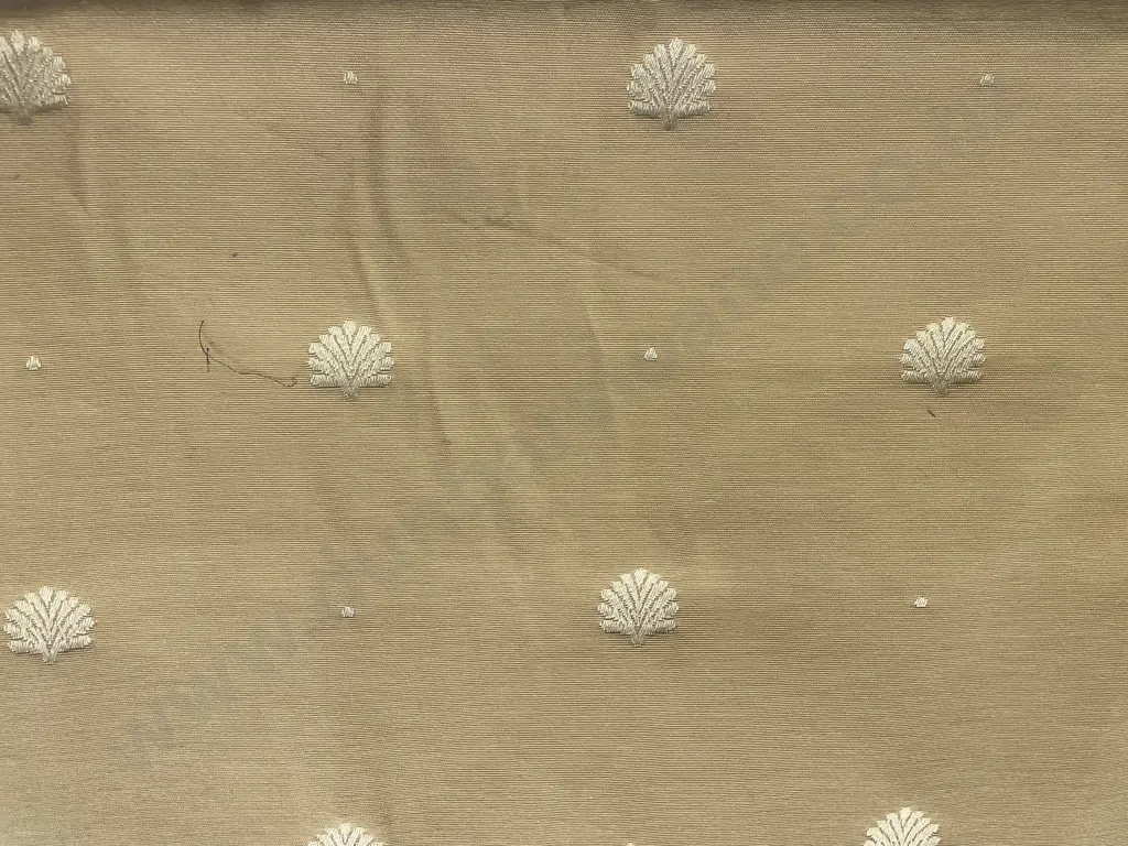 Shell Jacquard Image 1++