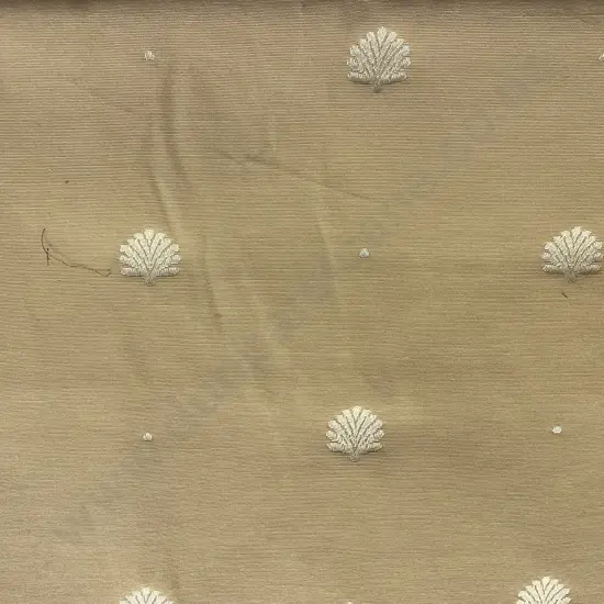 Shell Jacquard