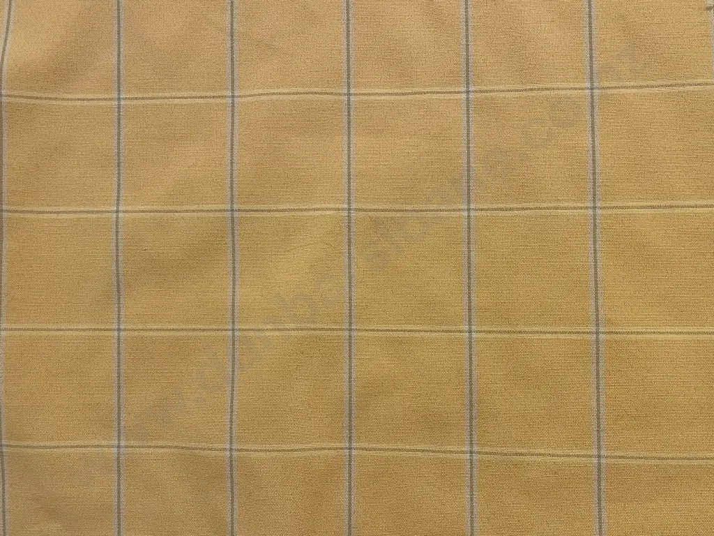 Yellow Check Image 1++