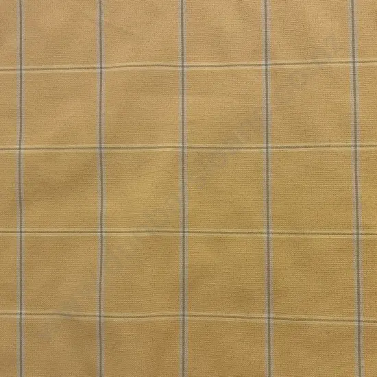 Yellow Check