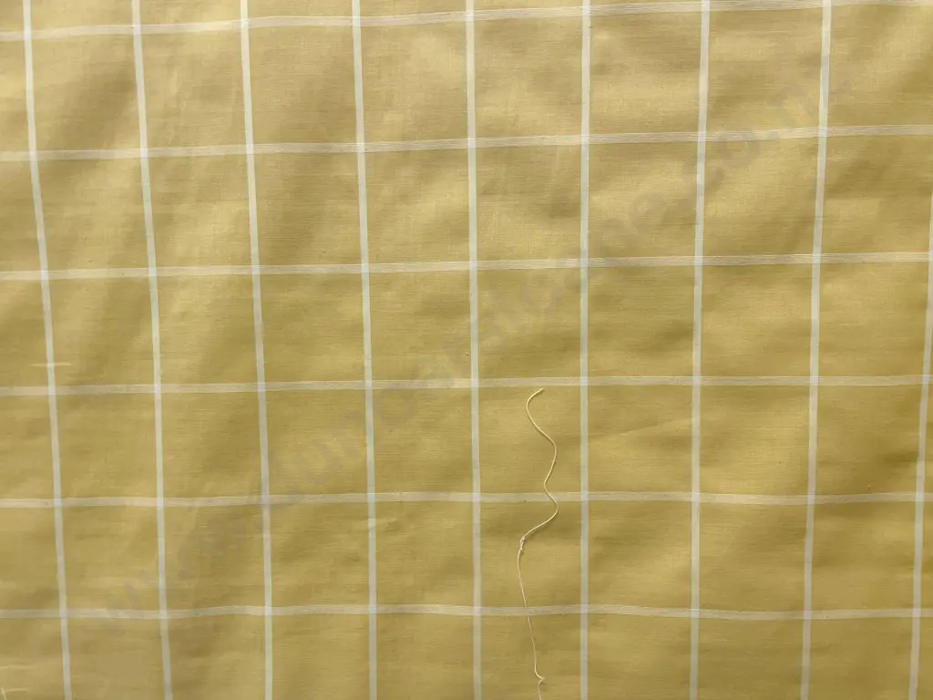 Yellow & White Check Image 1++