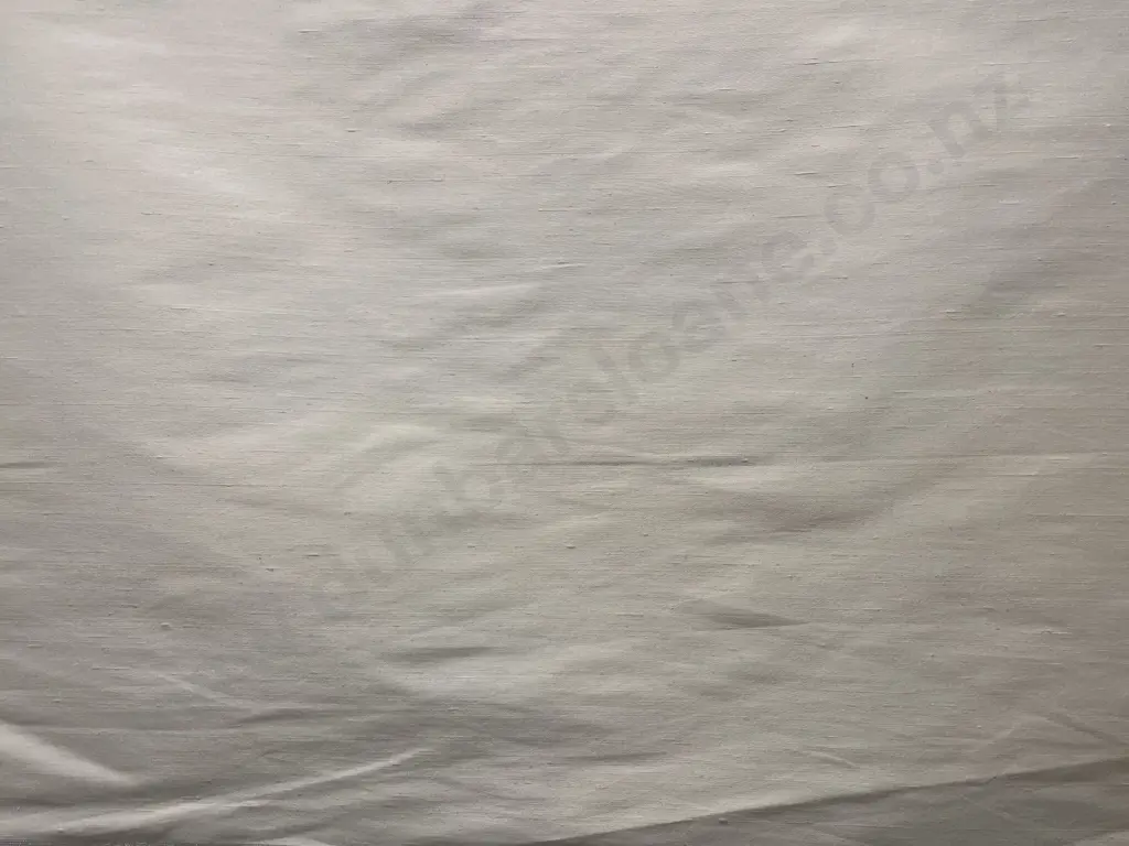 Ivory Dupion Silk Image 1++