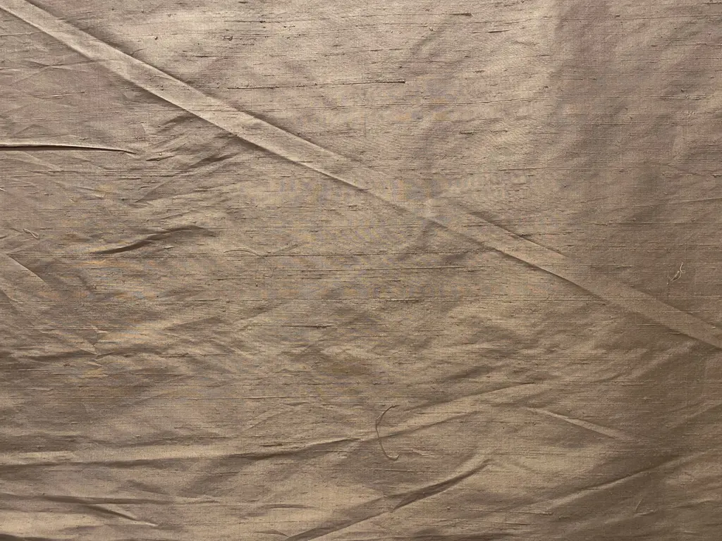 Taupe Dupion Silk Image 1++