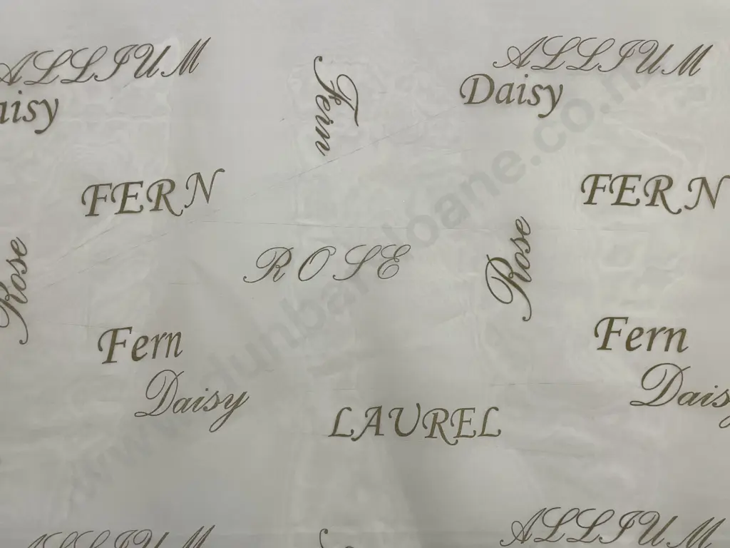 Script Sheer Image 1++