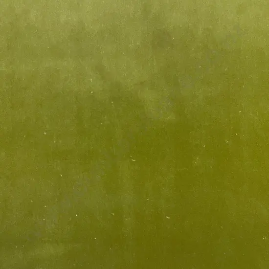 Lime Carlucci Velvet