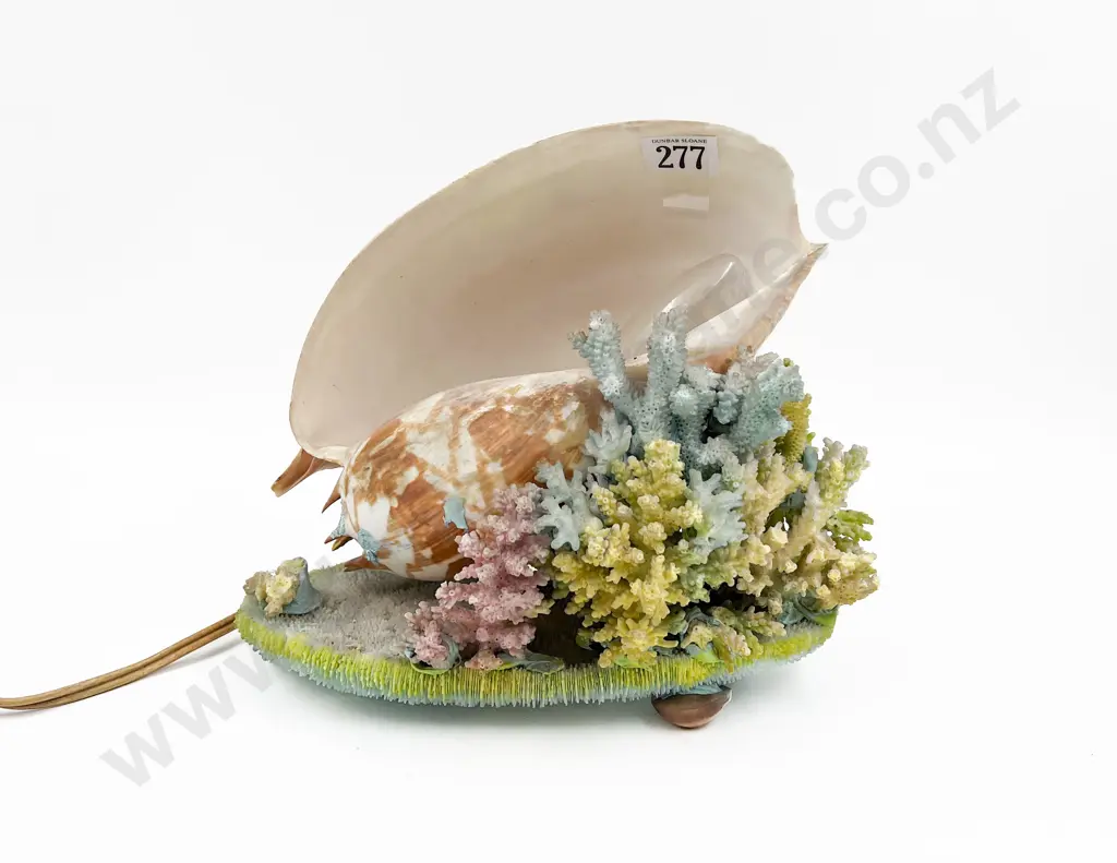 Shell and Coral Form Table Lamp Image 1++