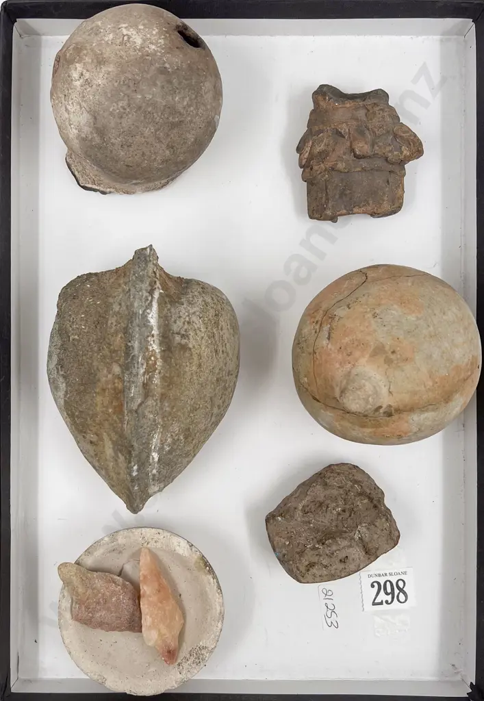 Small Quantity of Assorted Fossils etc Image 1++