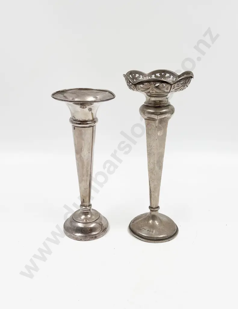 Two S/S Specimen Vases Image 1++