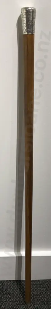 S/S Topped Walking Stick Image 1++