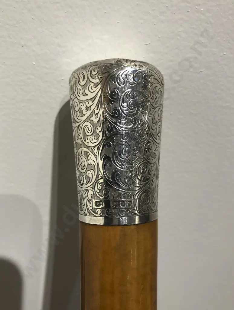 S/S Topped Walking Stick Image 1++